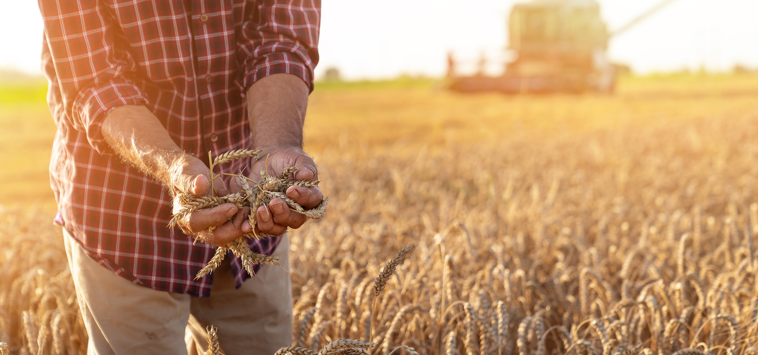 Anchor Ingredients Sustainability Soil Success