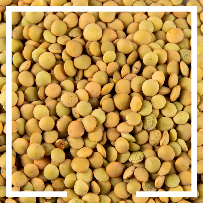 Anchor Ingredients Specialty Grains Lentils